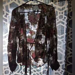 Zara Woman Velvet Sheer Blouse